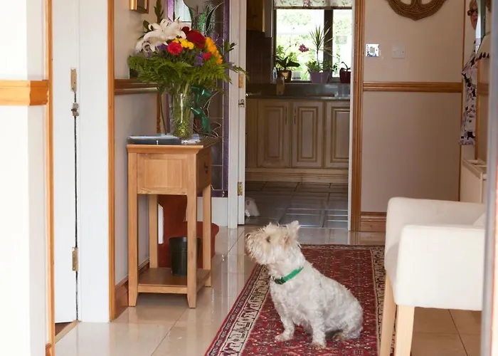 Anchor 住宿加早餐酒店